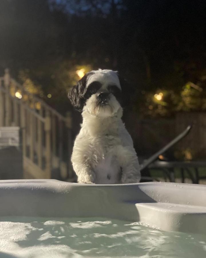 Cariad Tenby Bagian luar foto